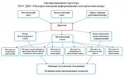 Организационная структура МОУ ДПО «Малоярославецкий информационно-методический центр»
